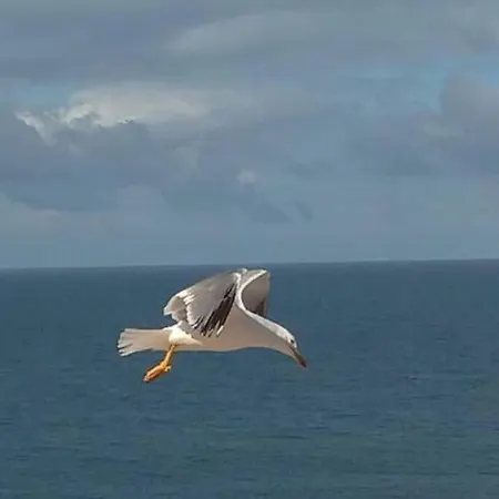Διαμέρισμα The Best View Over The Atlantic Ocean In