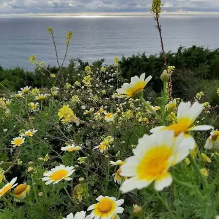 The Best View Over The Atlantic Ocean In * Ericeira